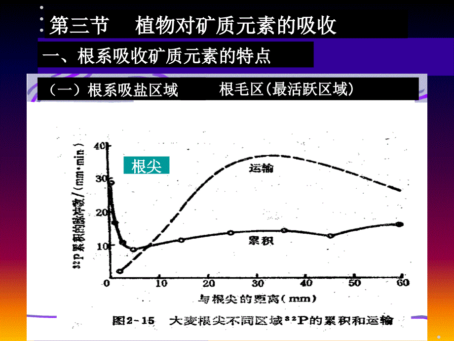 植物的矿质营养最新课件_第1页