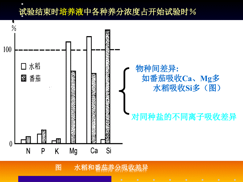 植物的矿质营养最新课件_第4页