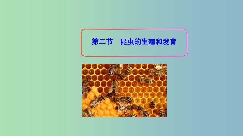 八年级生物下册7.1.2昆虫的生殖和发育课件3新版新人教版.ppt_第1页