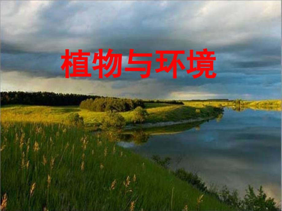 六年级科学植物与环境粤教版课堂PPT_第1页