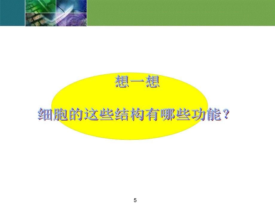 七年级科学细胞2ppt课件_第5页