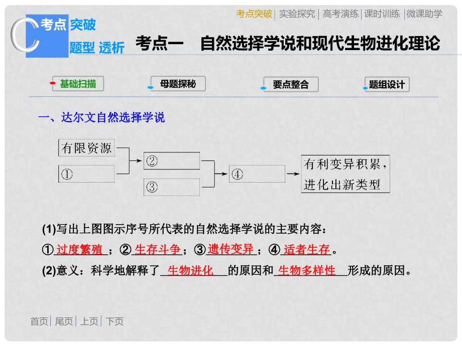 高考生物新一轮总复习（考点突破+题型透析+实验探究+学科方法）第四章 生物的进化课件 苏教版必修2_第3页