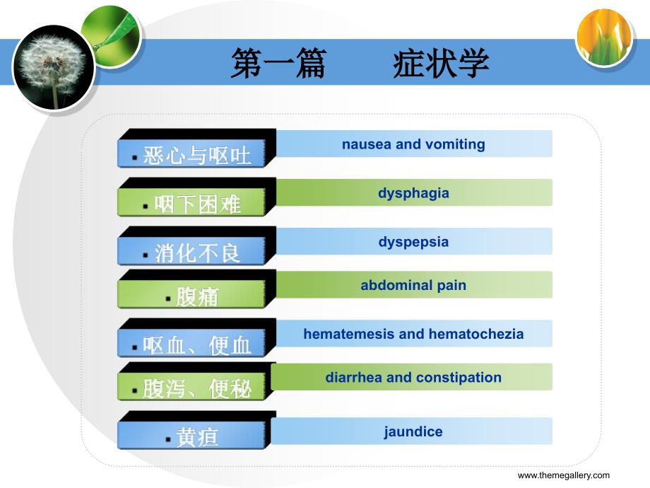 诊断学消化系统_第4页