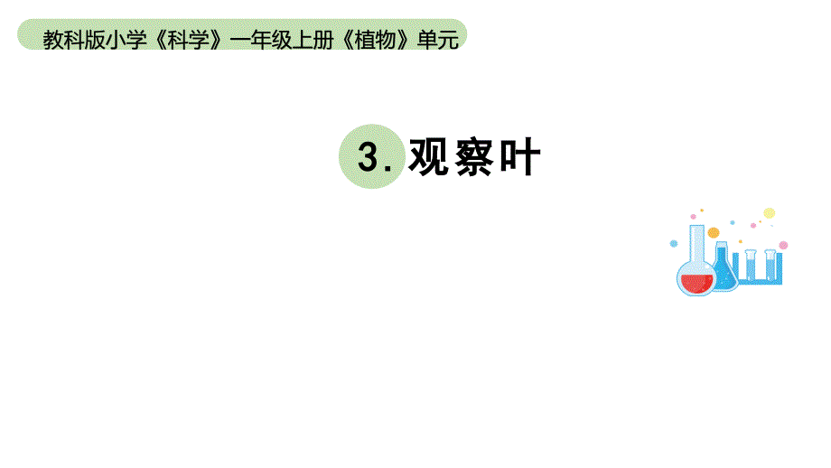 小学科学教科版一年级上册第一单元3《观察叶》教学课件（2023秋新课标版）_第1页