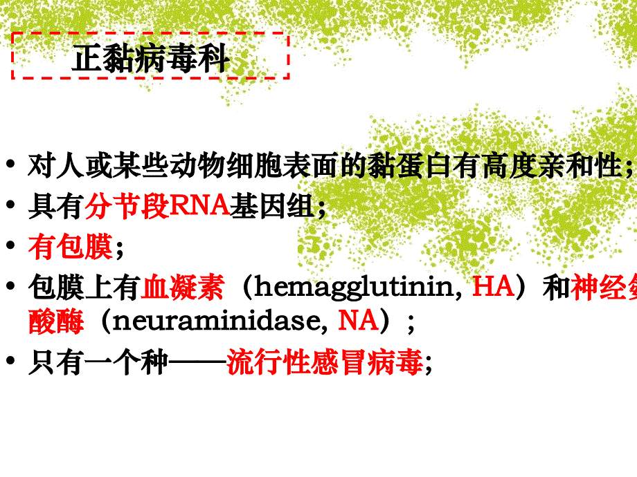 医学微生物学：24-呼吸道感染病毒_第3页