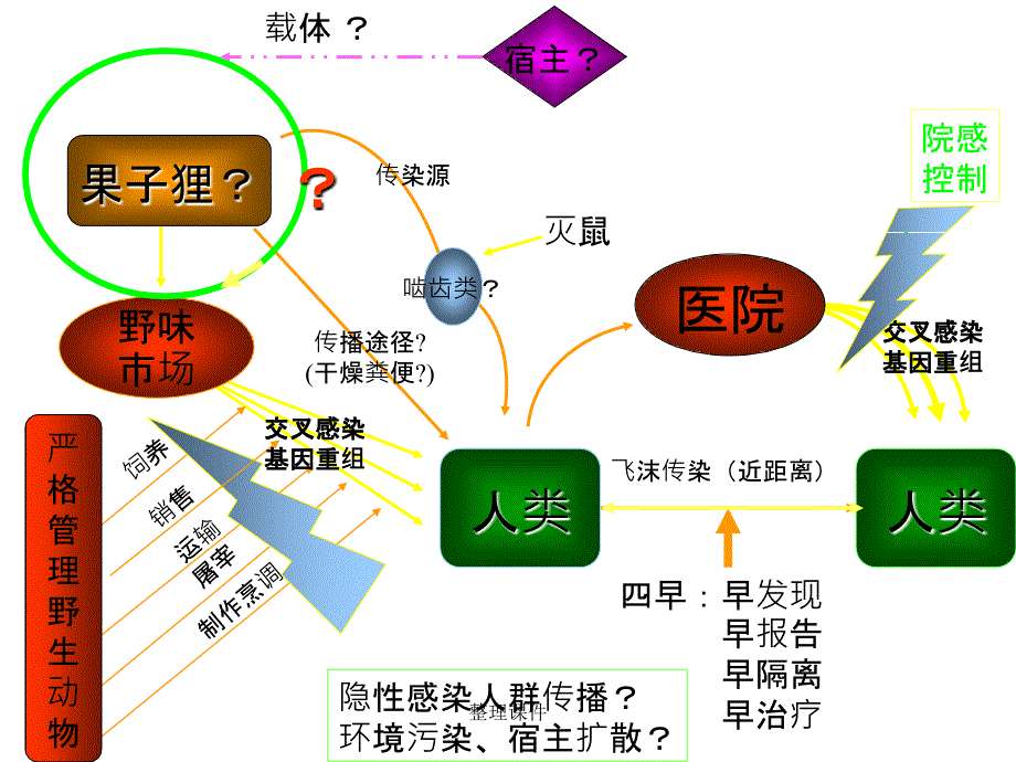 sars禽流感不明原因肺炎监测方案_第4页