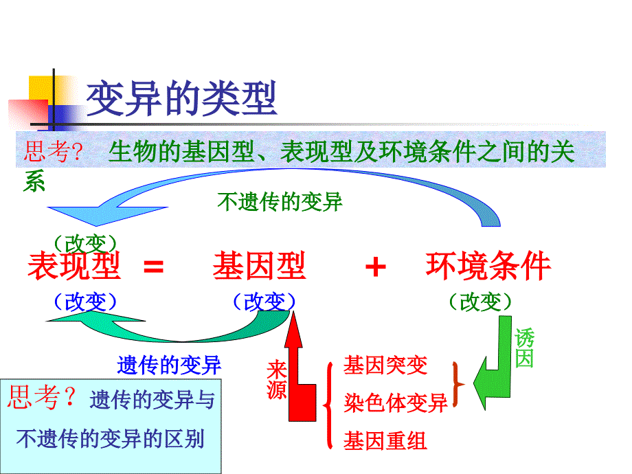 高二生物教学育种_第4页