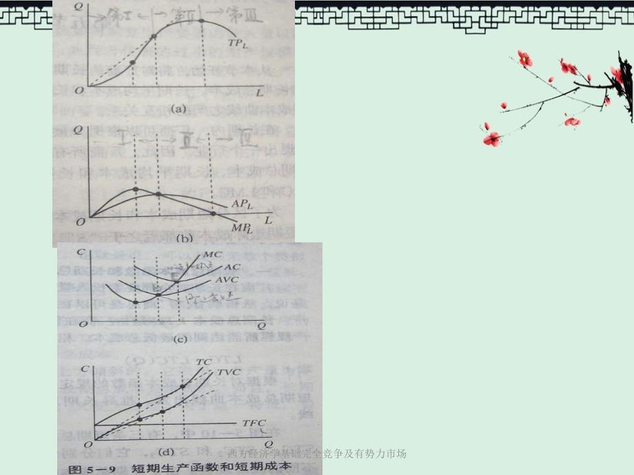 西方经济学基础完全竞争及有势力市场_第3页