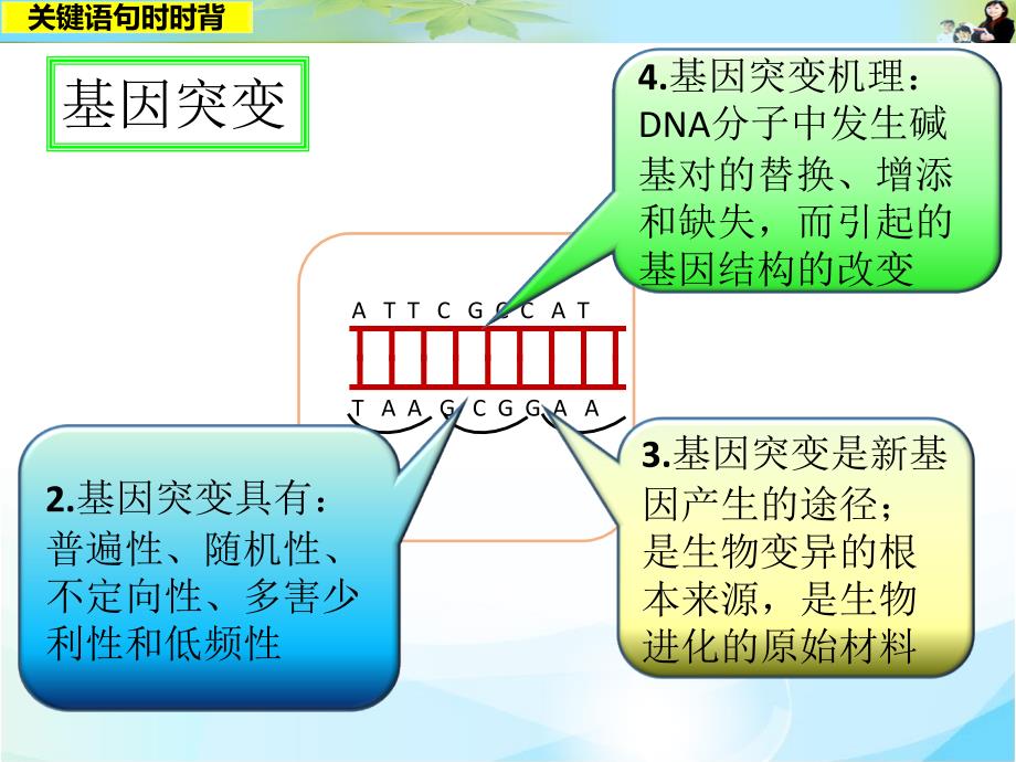 关键语句时时背12_第3页