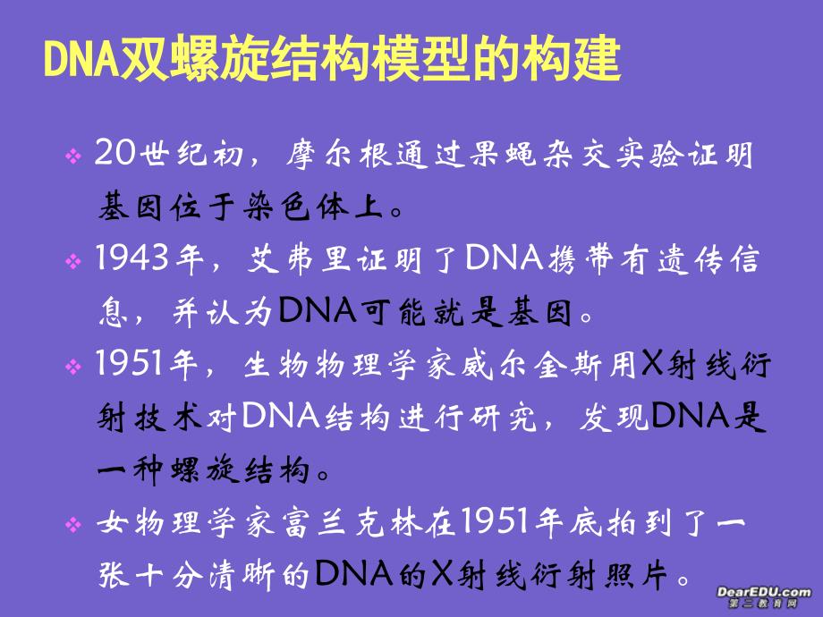 高一生物第三章第二节DNA分子的结构课件新课标人教版必修2_第3页