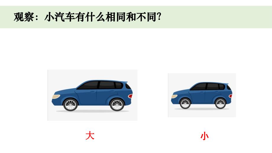 小学科学教科版一年级上册第二单元1《在观察中比较》教学课件（2023秋新课标版）_第2页