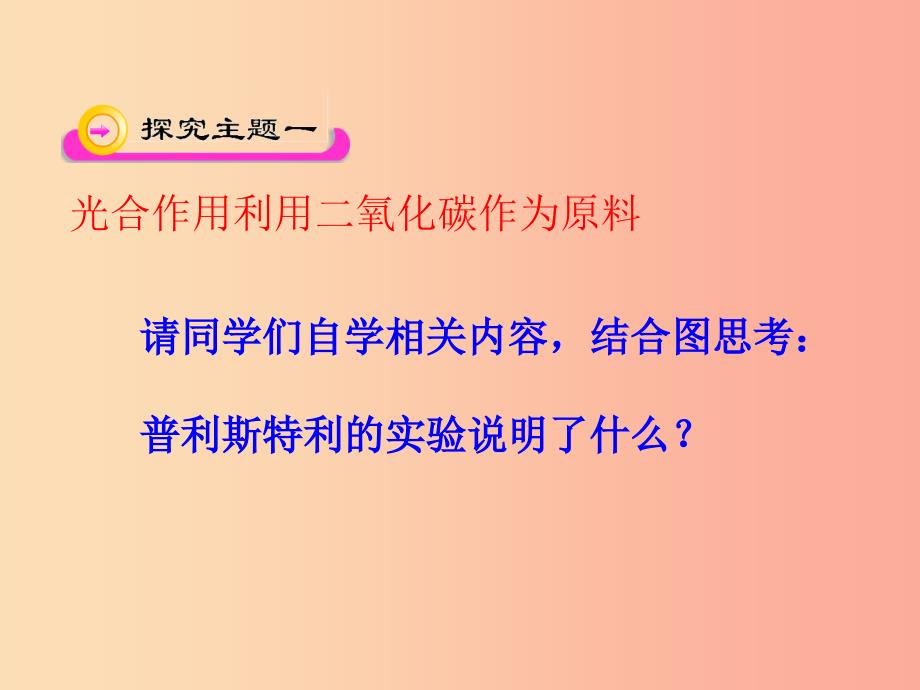 七年级生物上册 第三单元 第五章 第一节 光合作用吸收二氧化碳释放氧气课件 新人教版.ppt_第4页