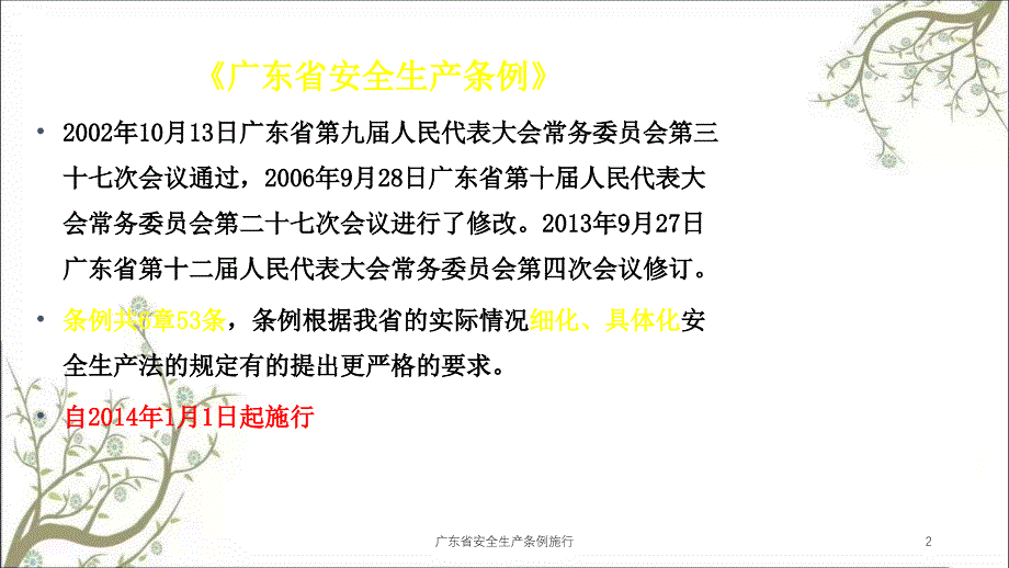 广东省安全生产条例施行PPT课件_第2页