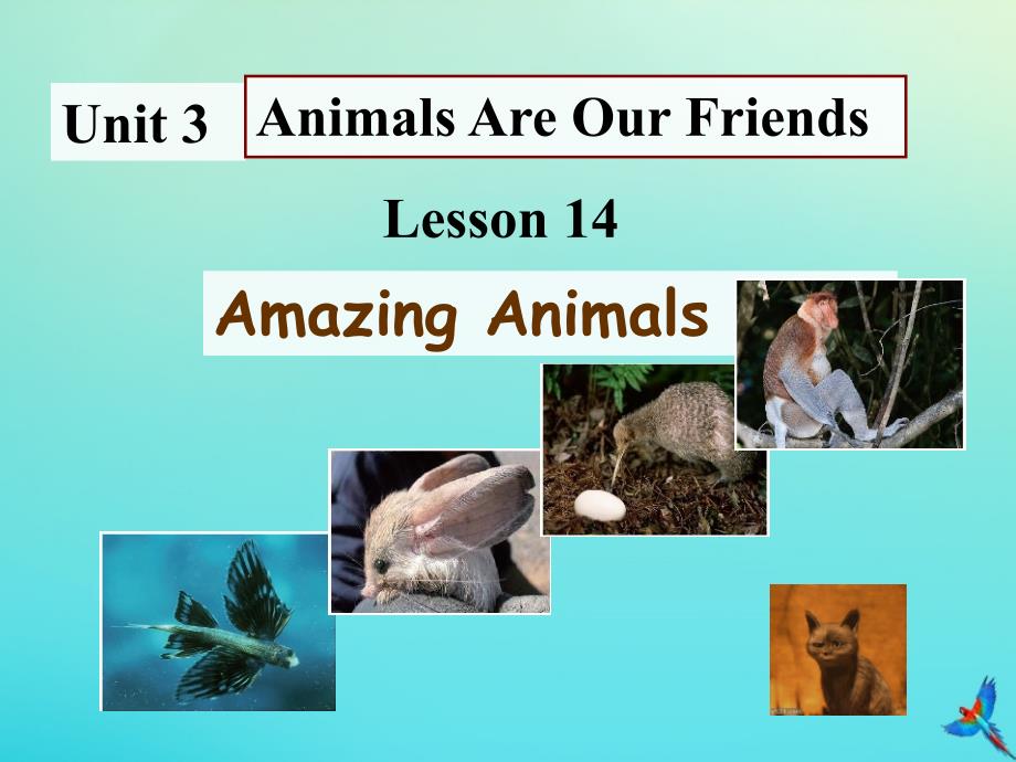 八年级英语下册 Unit 3 Animals are our Friends Lesson 14 Amazing Animals参考课件 （新版）冀教版_第1页