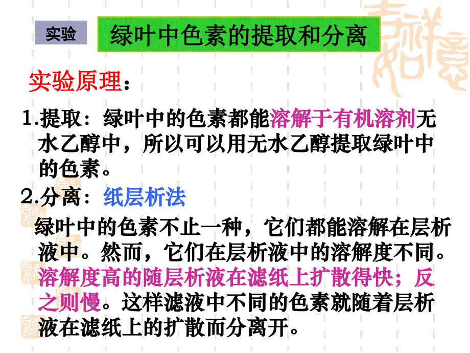 捕捉光能的色素和结构课件_第4页