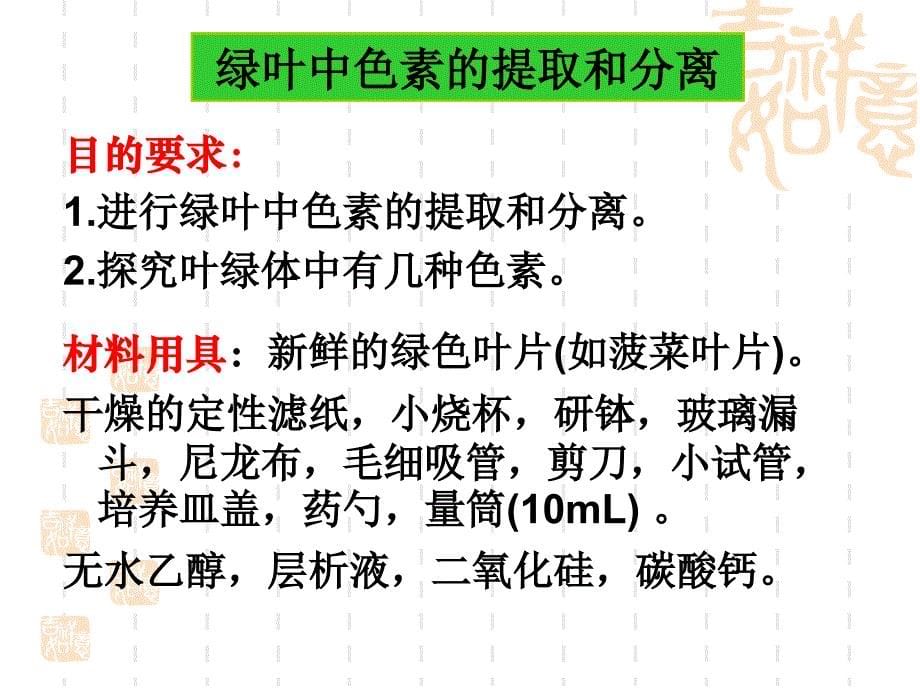 捕捉光能的色素和结构课件_第5页