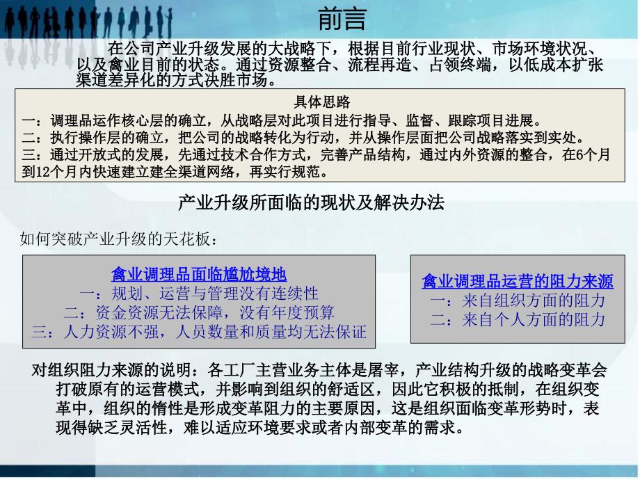 调理品运作方案ppt._第2页