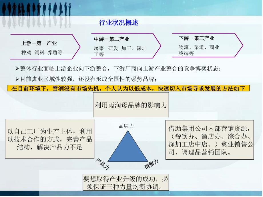 调理品运作方案ppt._第4页