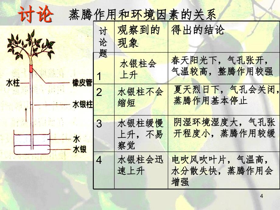 叶的蒸腾作用幻灯片_第4页