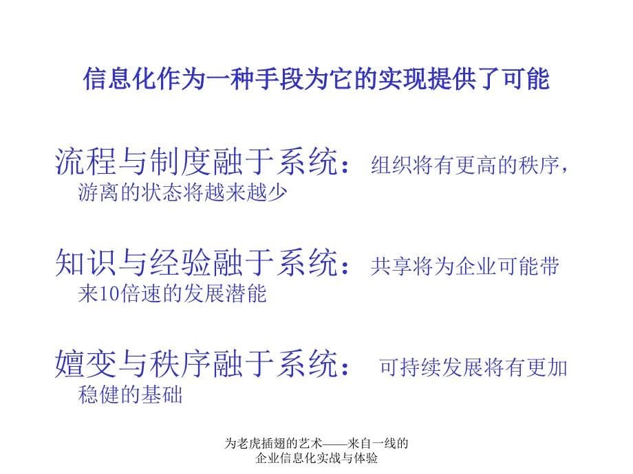 为老虎插翅的艺术来自一线的企业信息化实战与体验课件_第5页