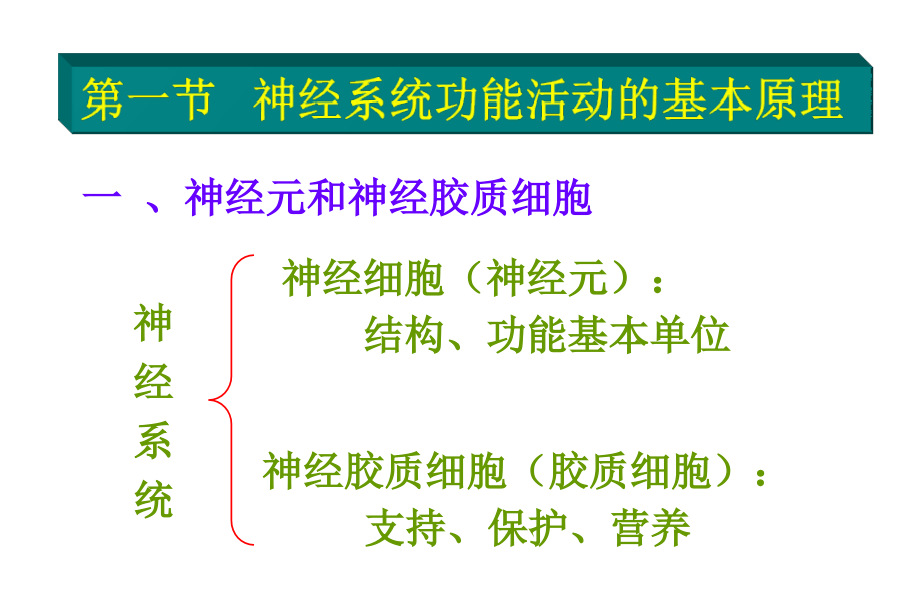 第二版神经幻灯_第4页