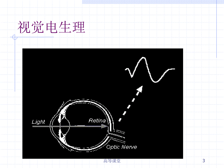 临床视觉电生理学特制荟萃_第3页