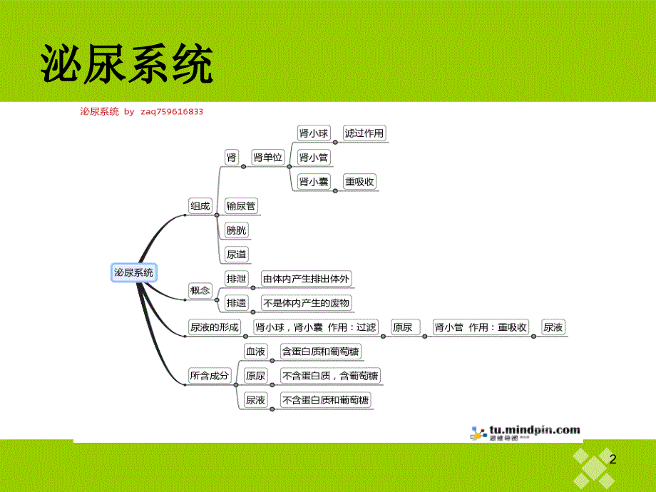 输尿管癌查房ppt课件_第2页