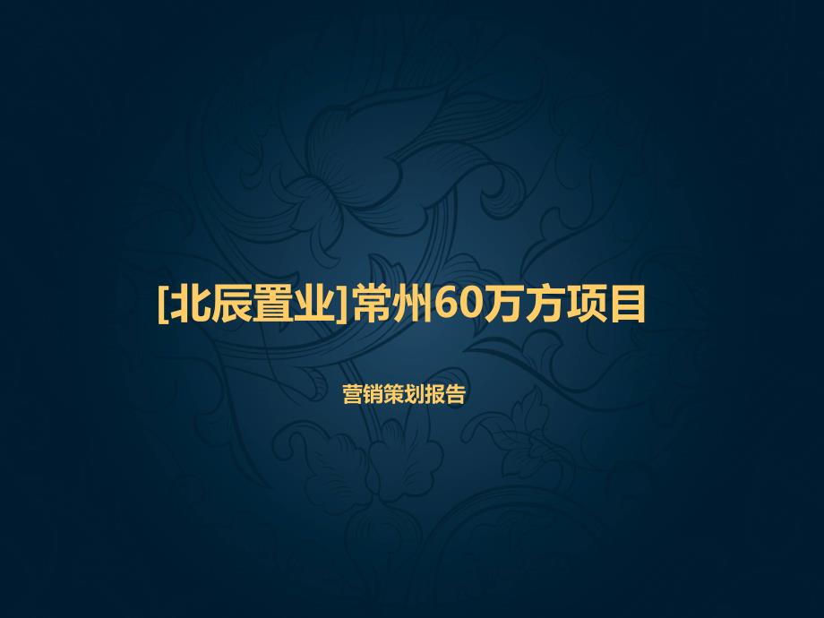 北辰置业常州60万方项目营销策划报告.ppt_第1页