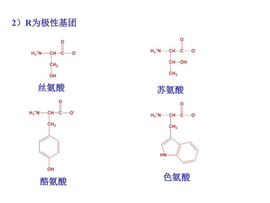 第17章氨基酸蛋白质_第5页