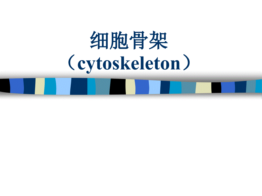 细胞生物学：细胞骨架（cytoskeleton）_第1页