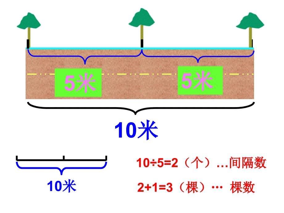 《两端都栽的植树问题》课件2-1_第5页