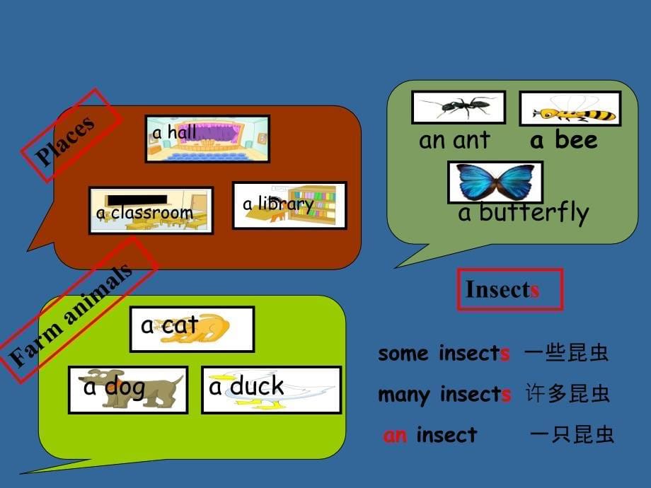 牛津小学英语Insects课件.ppt_第5页