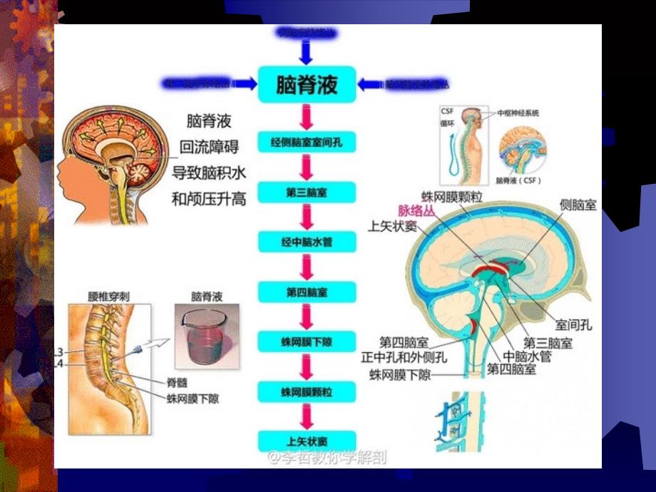 椎管内占位MRI诊断_第3页