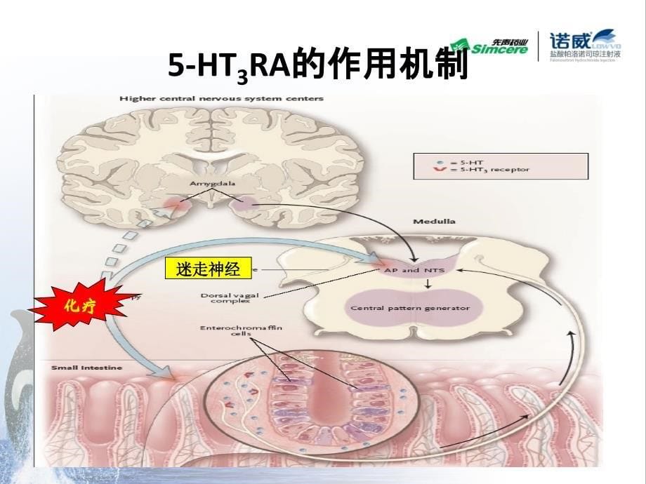 诺威(帕洛诺司琼)PPT课件_第5页