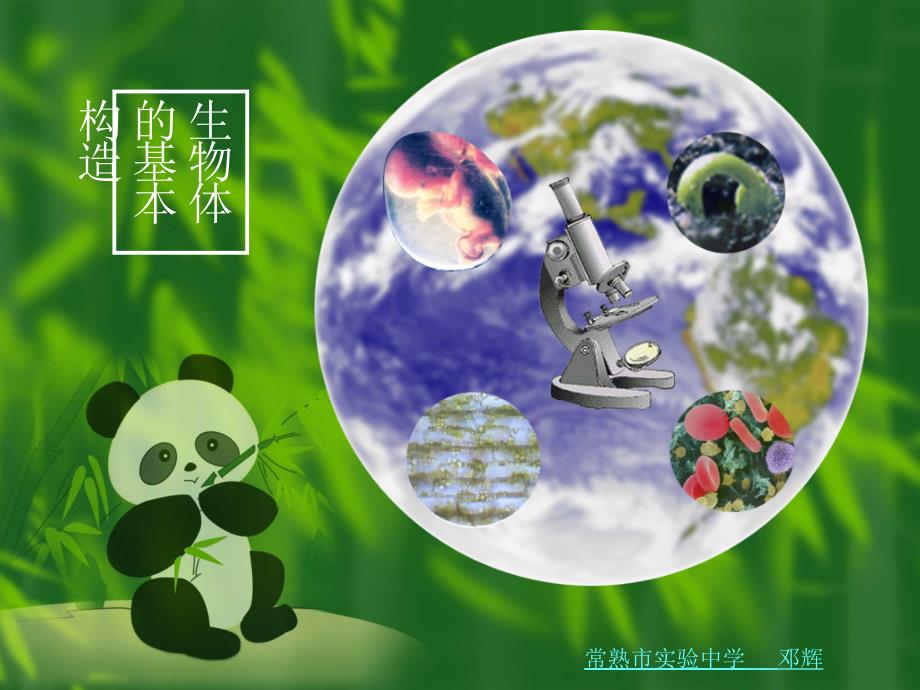 生物体的基本结构熟市实验中学欢迎您[课件]_第1页