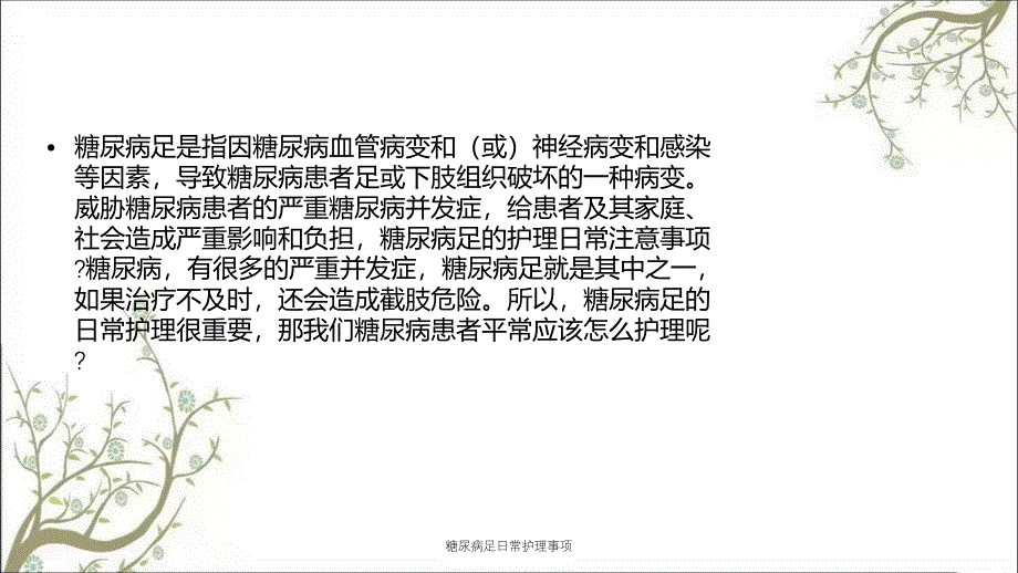 糖尿病足日常护理事项_第2页