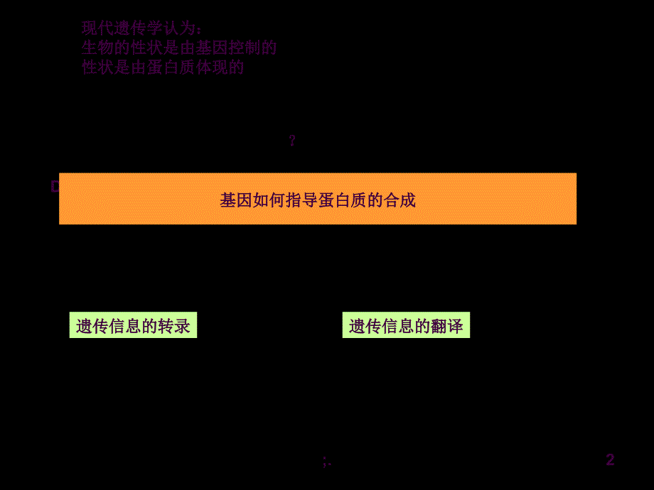 4.1.1基因指导蛋白质的合成ppt课件_第2页