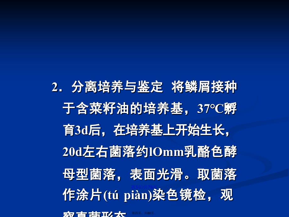 二十章病原真菌学习教案_第4页