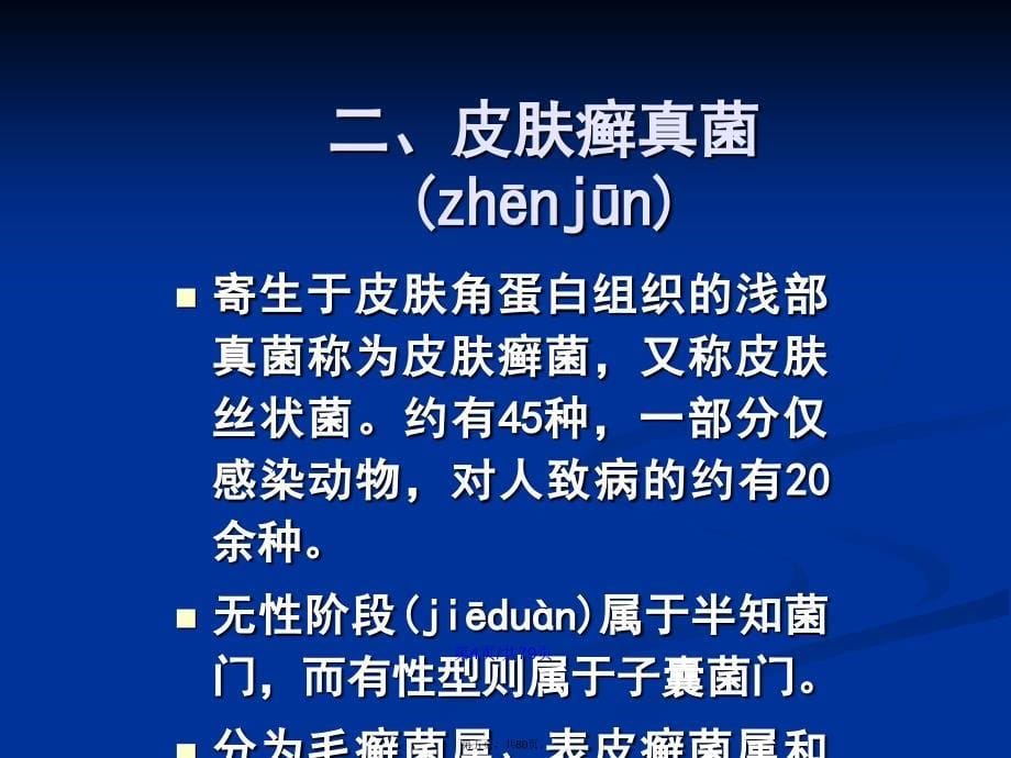 二十章病原真菌学习教案_第5页