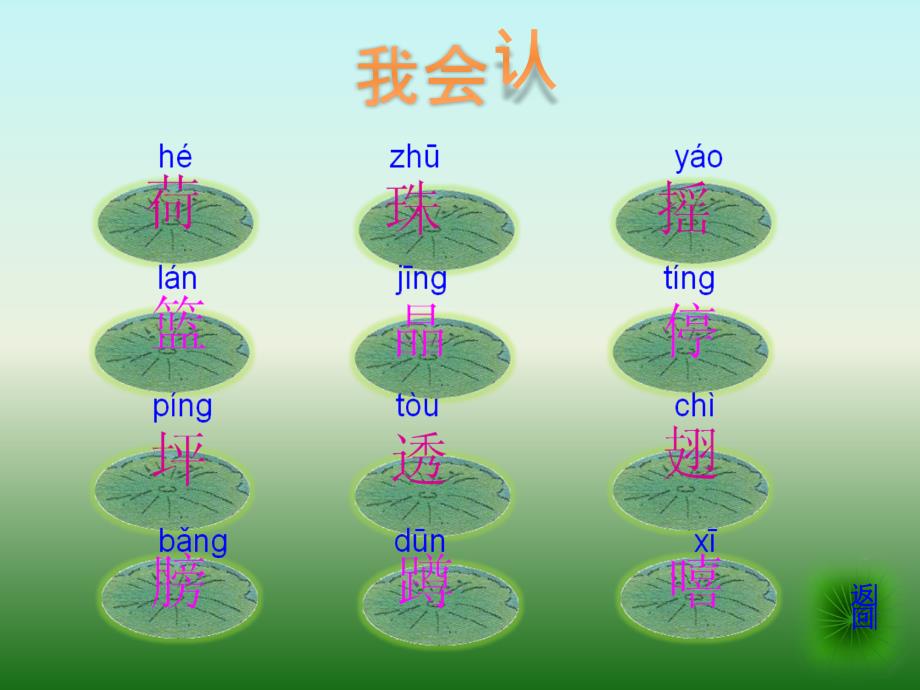 荷叶圆圆教学课件_第3页