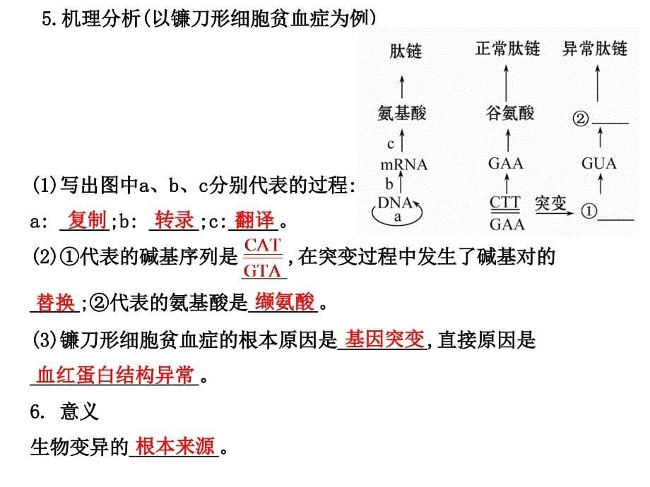 生物的变异学考复习讲义_第5页