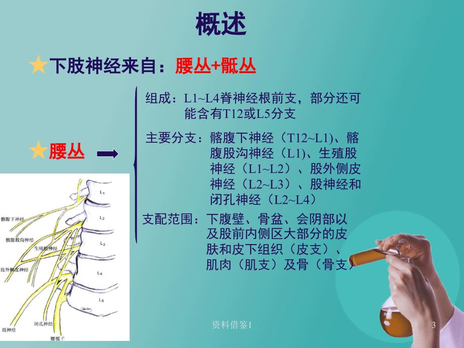 超声定位的下肢神经阻滞（行业荟萃）_第3页