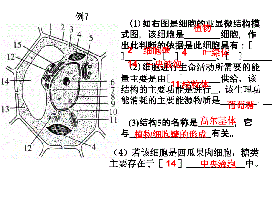 生物必修一典型题课件_第2页