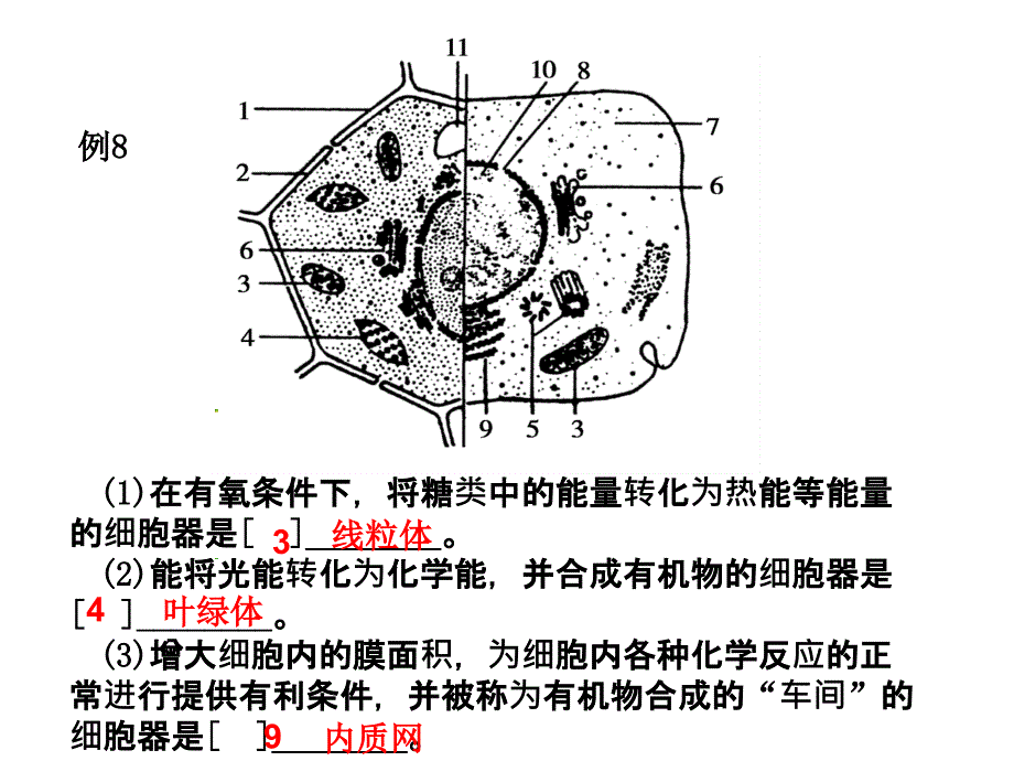 生物必修一典型题课件_第3页