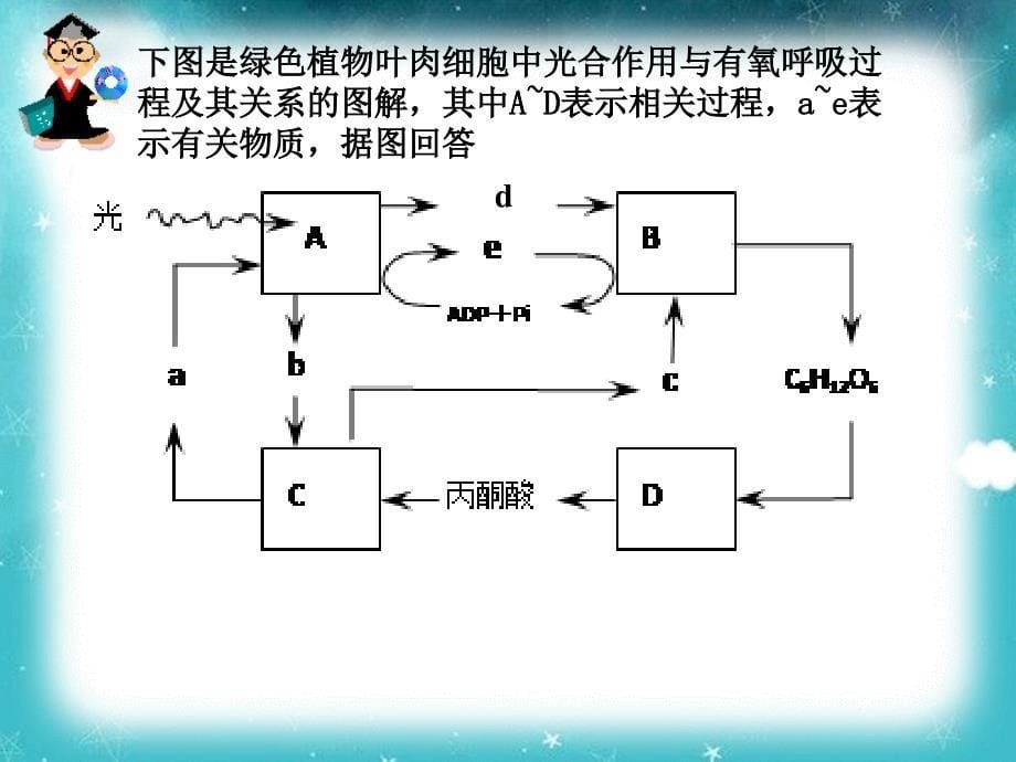 生物必修一典型题课件_第5页