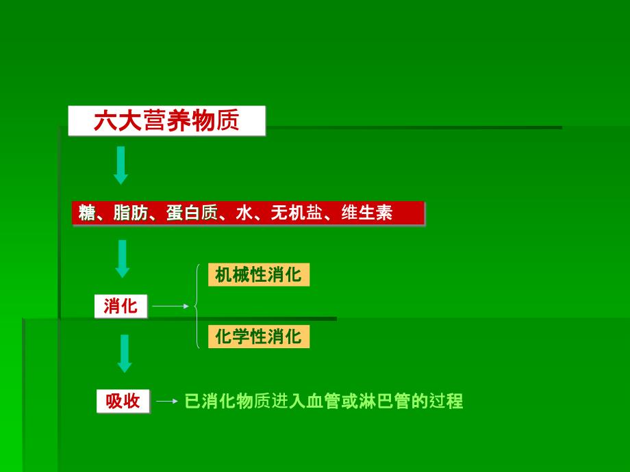 6.第六章消化与吸收_第3页