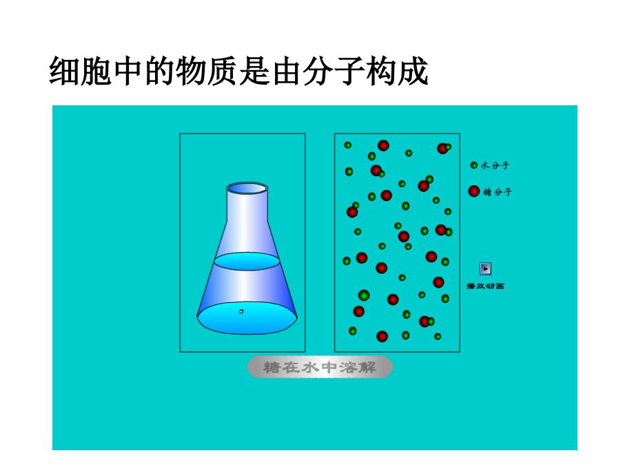 细胞的生活（一）_第3页