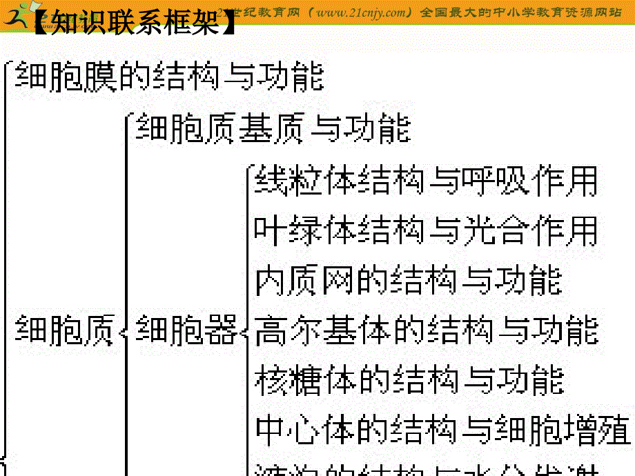 江苏省高三生物二轮复习课件专题三：细胞的结构与功能_第2页