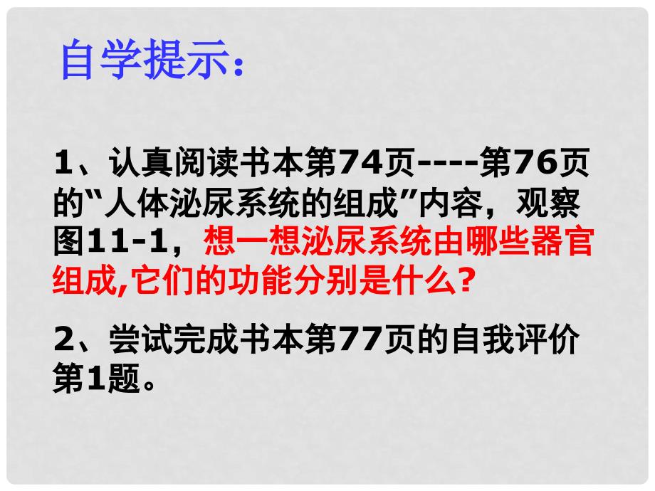 七年级生物下册 第十一章 第一节 人体泌尿系统的组成课件3 （新版）苏教版_第3页