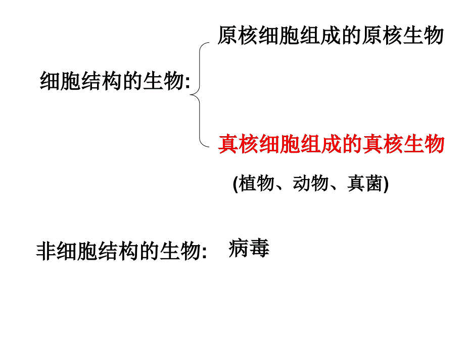 细胞壁和细胞膜_第2页